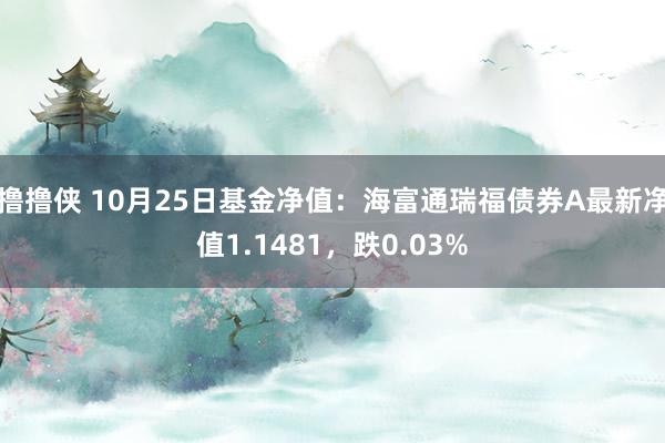 撸撸侠 10月25日基金净值：海富通瑞福债券A最新净值1.1481，跌0.03%