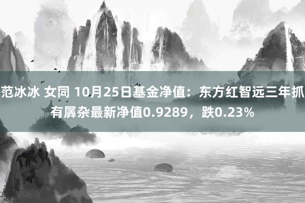 范冰冰 女同 10月25日基金净值：东方红智远三年抓有羼杂最新净值0.9289，跌0.23%