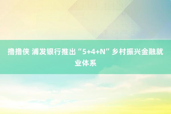 撸撸侠 浦发银行推出“5+4+N”乡村振兴金融就业体系