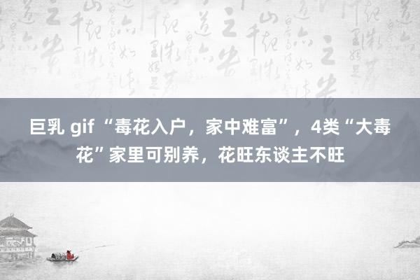 巨乳 gif “毒花入户，家中难富”，4类“大毒花”家里可别养，花旺东谈主不旺