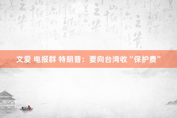 文爱 电报群 特朗普：要向台湾收“保护费”
