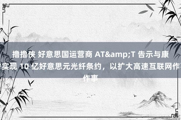 撸撸侠 好意思国运营商 AT&T 告示与康宁实现 10 亿好意思元光纤条约，以扩大高速互联网作事