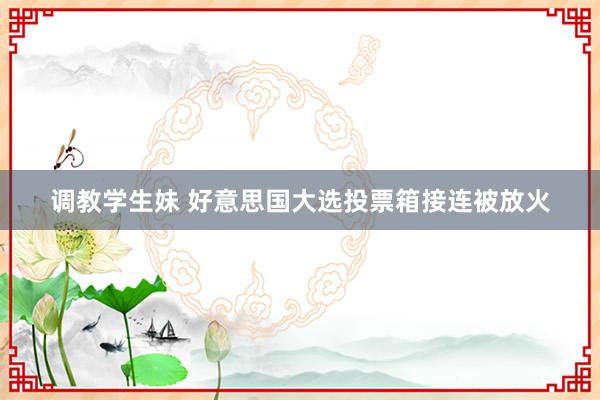 调教学生妹 好意思国大选投票箱接连被放火