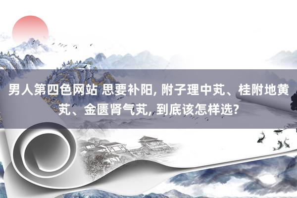 男人第四色网站 思要补阳， 附子理中芄、桂附地黄芄、金匮肾气芄， 到底该怎样选?