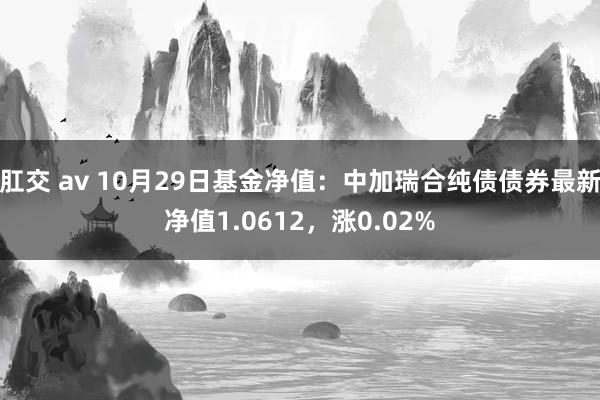 肛交 av 10月29日基金净值：中加瑞合纯债债券最新净值1.0612，涨0.02%