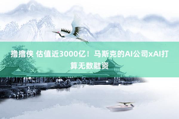 撸撸侠 估值近3000亿！马斯克的AI公司xAI打算无数融资