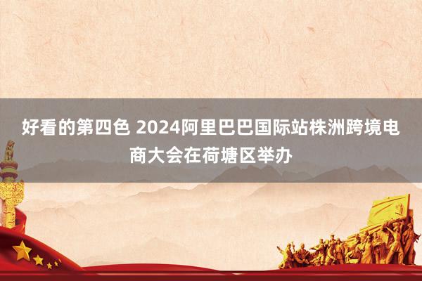 好看的第四色 2024阿里巴巴国际站株洲跨境电商大会在荷塘区举办