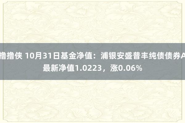 撸撸侠 10月31日基金净值：浦银安盛普丰纯债债券A最新净值1.0223，涨0.06%