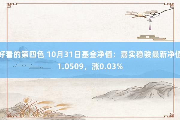 好看的第四色 10月31日基金净值：嘉实稳骏最新净值1.0509，涨0.03%