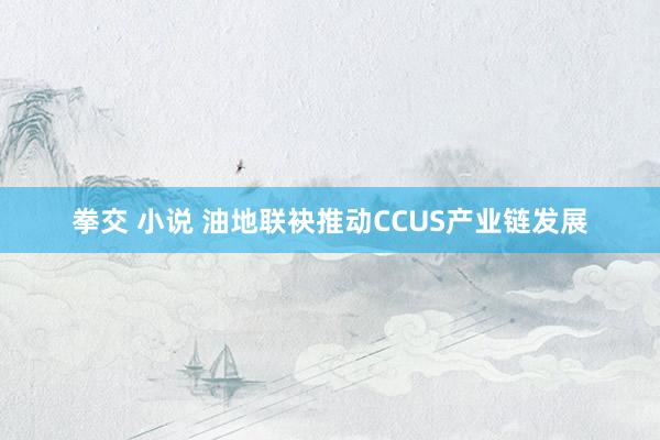 拳交 小说 油地联袂推动CCUS产业链发展