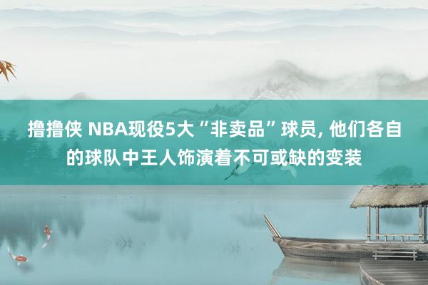撸撸侠 NBA现役5大“非卖品”球员， 他们各自的球队中王人饰演着不可或缺的变装