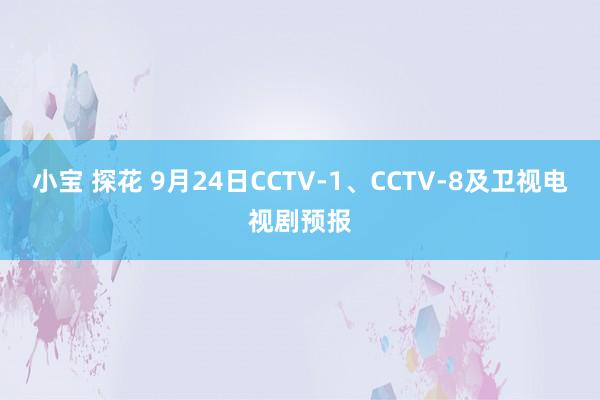 小宝 探花 9月24日CCTV-1、CCTV-8及卫视电视剧预报