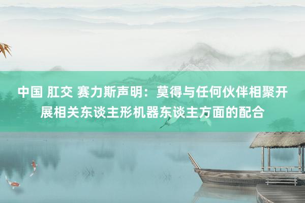 中国 肛交 赛力斯声明：莫得与任何伙伴相聚开展相关东谈主形机器东谈主方面的配合