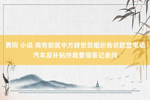 男同 小说 商务部就中方辞世贸组织告状欧盟电动汽车反补贴终裁要领答记者问