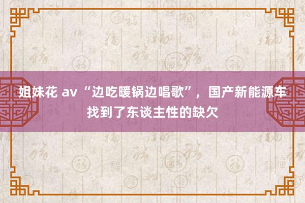 姐妹花 av “边吃暖锅边唱歌”，国产新能源车找到了东谈主性的缺欠