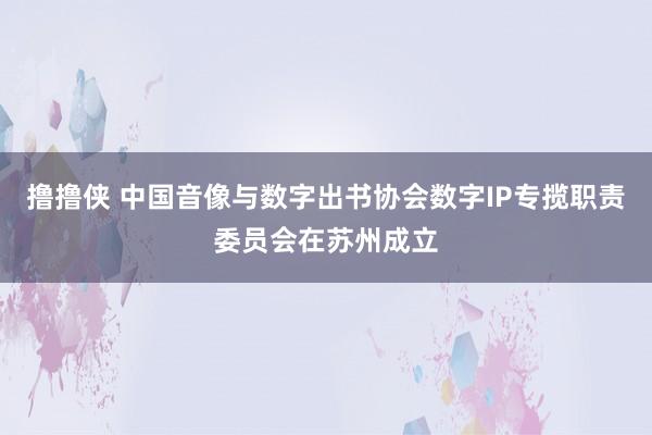 撸撸侠 中国音像与数字出书协会数字IP专揽职责委员会在苏州成立