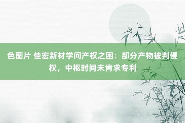色图片 佳宏新材学问产权之困：部分产物被判侵权，中枢时间未肯求专利