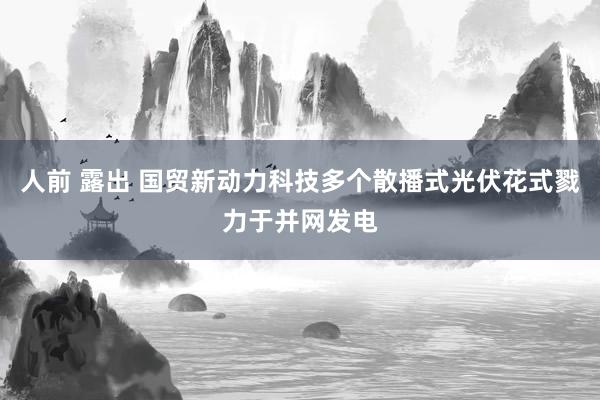 人前 露出 国贸新动力科技多个散播式光伏花式戮力于并网发电