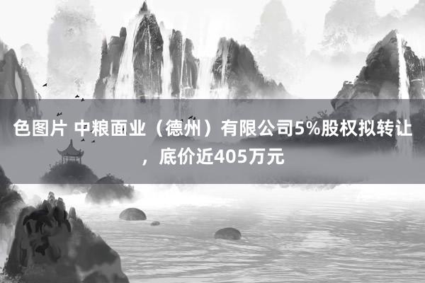 色图片 中粮面业（德州）有限公司5%股权拟转让，底价近405万元