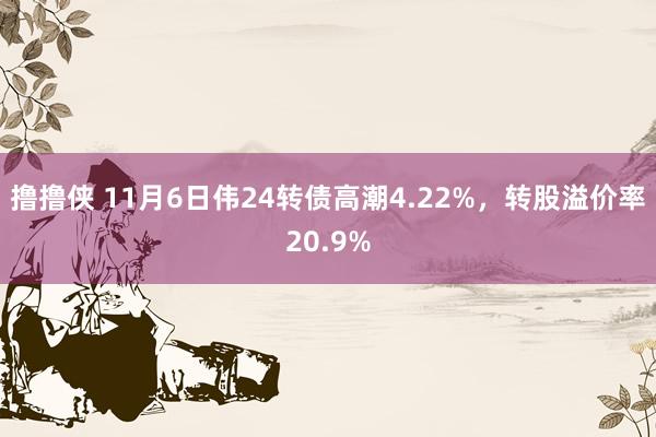 撸撸侠 11月6日伟24转债高潮4.22%，转股溢价率20.9%