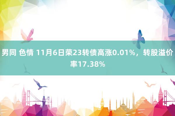 男同 色情 11月6日荣23转债高涨0.01%，转股溢价率17.38%