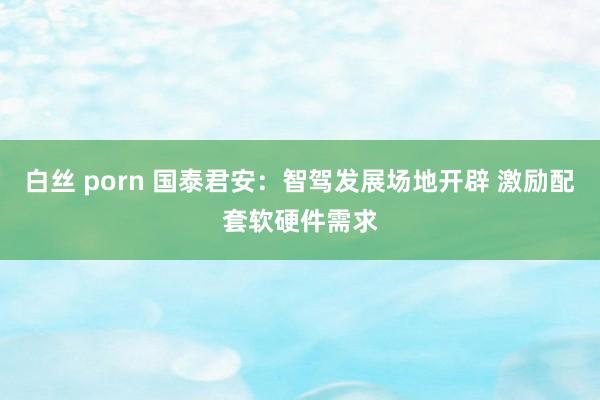 白丝 porn 国泰君安：智驾发展场地开辟 激励配套软硬件需求