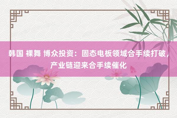 韩国 裸舞 博众投资：固态电板领域合手续打破，产业链迎来合手续催化