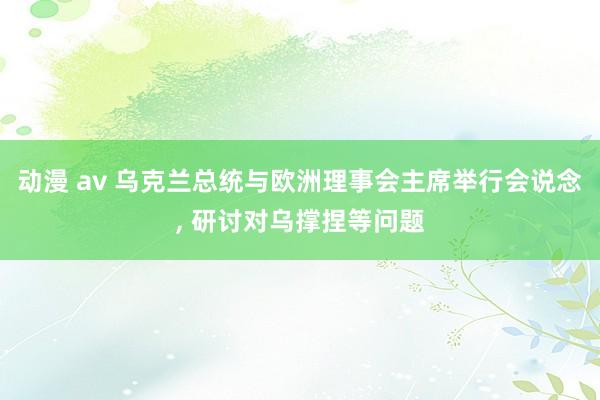 动漫 av 乌克兰总统与欧洲理事会主席举行会说念， 研讨对乌撑捏等问题