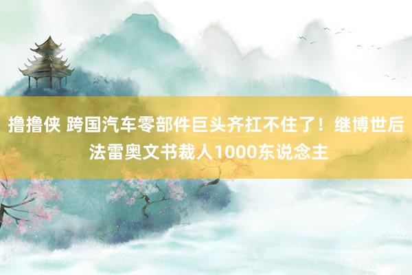 撸撸侠 跨国汽车零部件巨头齐扛不住了！继博世后 法雷奥文书裁人1000东说念主