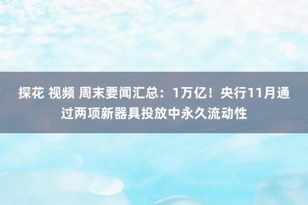 探花 视频 周末要闻汇总：1万亿！央行11月通过两项新器具投放中永久流动性