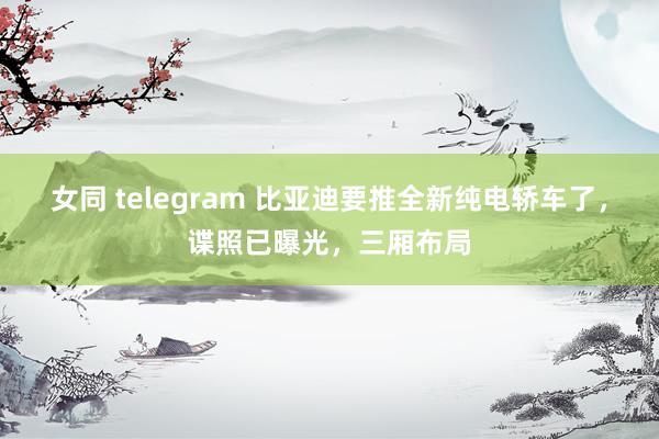 女同 telegram 比亚迪要推全新纯电轿车了，谍照已曝光，三厢布局