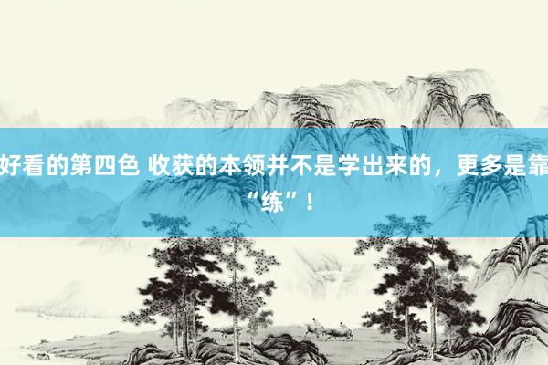 好看的第四色 收获的本领并不是学出来的，更多是靠 “练”！