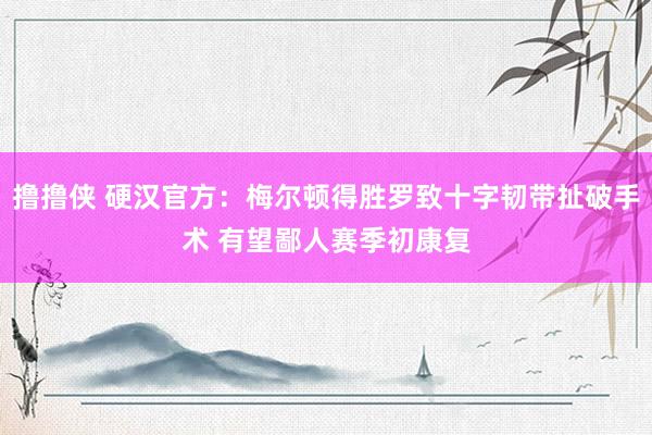 撸撸侠 硬汉官方：梅尔顿得胜罗致十字韧带扯破手术 有望鄙人赛季初康复