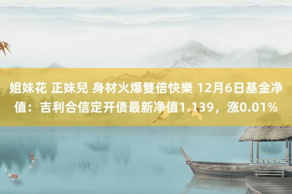 姐妹花 正妹兒 身材火爆雙倍快樂 12月6日基金净值：吉利合信定开债最新净值1.139，涨0.01%