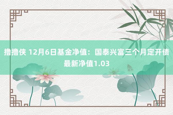 撸撸侠 12月6日基金净值：国泰兴富三个月定开债最新净值1.03