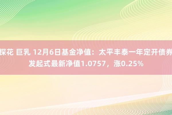 探花 巨乳 12月6日基金净值：太平丰泰一年定开债券发起式最新净值1.0757，涨0.25%