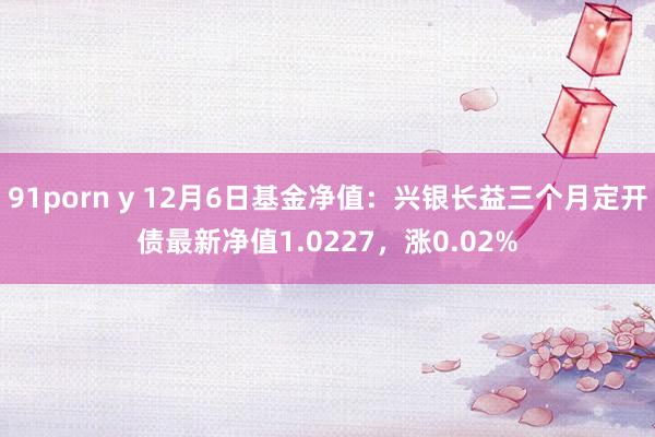 91porn y 12月6日基金净值：兴银长益三个月定开债最新净值1.0227，涨0.02%