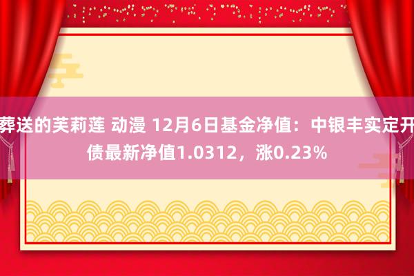 葬送的芙莉莲 动漫 12月6日基金净值：中银丰实定开债最新净值1.0312，涨0.23%