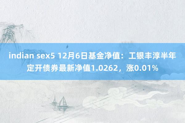 indian sex5 12月6日基金净值：工银丰淳半年定开债券最新净值1.0262，涨0.01%