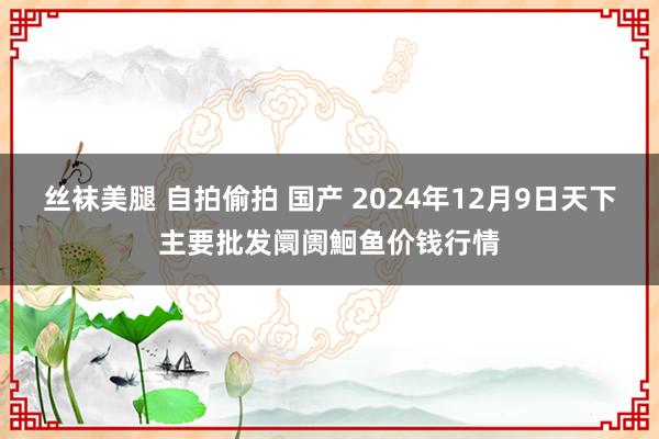 丝袜美腿 自拍偷拍 国产 2024年12月9日天下主要批发阛阓鮰鱼价钱行情