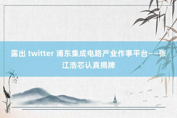 露出 twitter 浦东集成电路产业作事平台——张江浩芯认真揭牌