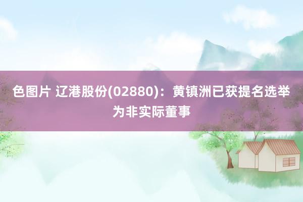 色图片 辽港股份(02880)：黄镇洲已获提名选举为非实际董事