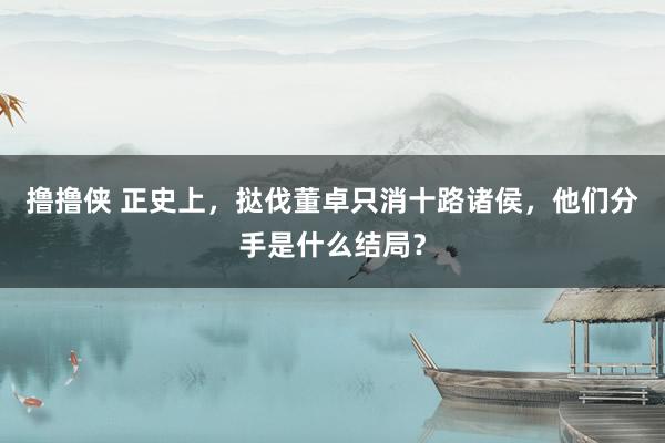 撸撸侠 正史上，挞伐董卓只消十路诸侯，他们分手是什么结局？