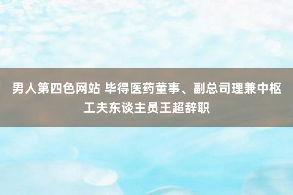 男人第四色网站 毕得医药董事、副总司理兼中枢工夫东谈主员王超辞职
