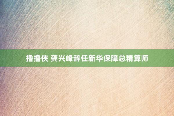 撸撸侠 龚兴峰辞任新华保障总精算师
