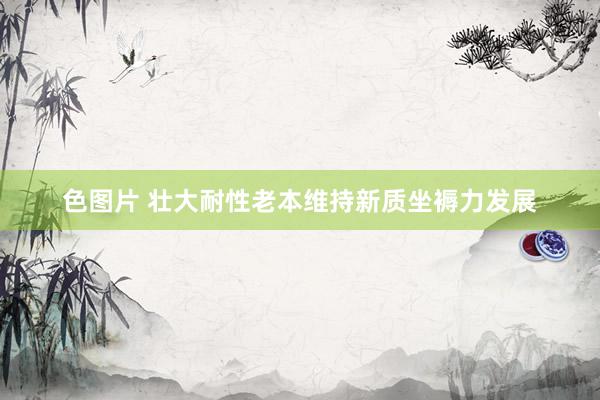 色图片 壮大耐性老本维持新质坐褥力发展