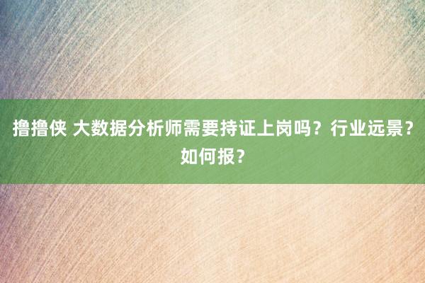 撸撸侠 大数据分析师需要持证上岗吗？行业远景？如何报？