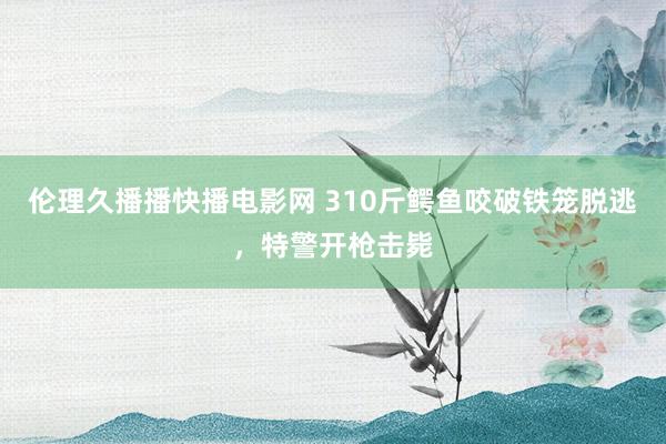 伦理久播播快播电影网 310斤鳄鱼咬破铁笼脱逃，特警开枪击毙