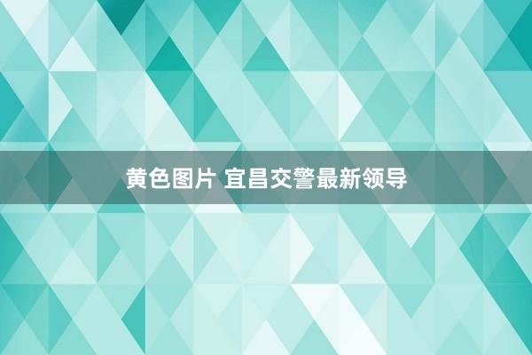 黄色图片 宜昌交警最新领导