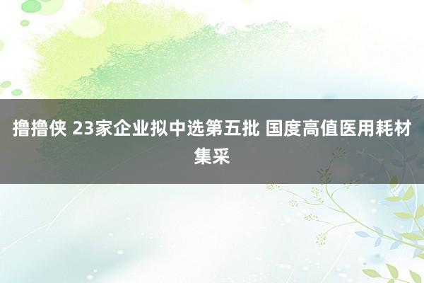 撸撸侠 23家企业拟中选第五批 国度高值医用耗材集采
